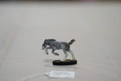 DSC00528-scaled