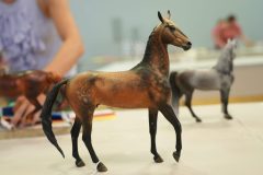DSC00531-scaled
