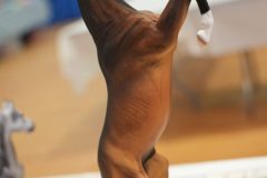 DSC00532-scaled