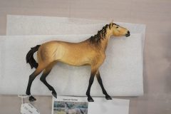DSC00533-scaled