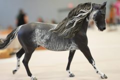 DSC00536-scaled