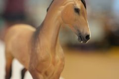 DSC00537-scaled