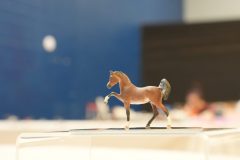 DSC00556-scaled