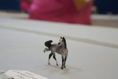 DSC00557-scaled