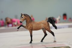 DSC00567-scaled