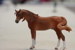 DSC00569-scaled