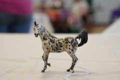 DSC00571-scaled