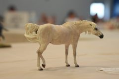 DSC00573-scaled