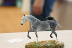 DSC00575-scaled
