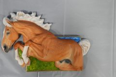 DSC00582-scaled