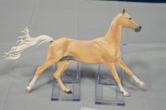 DSC00586-scaled