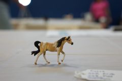 DSC00588-scaled