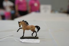 DSC00593-scaled