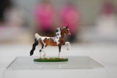DSC00596-scaled