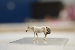 DSC00598-scaled