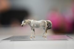 DSC00601-scaled