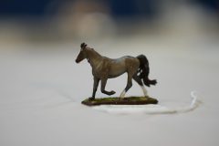 DSC00604-scaled