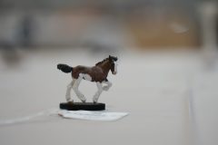 DSC00611-scaled