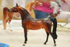 DSC00612-scaled