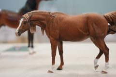 DSC00614-scaled