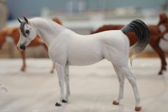 DSC00616-scaled