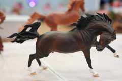 DSC00617-scaled