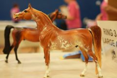 DSC00618-scaled