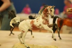 DSC00619-scaled