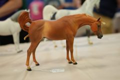 DSC00621-scaled