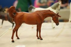 DSC00622-scaled