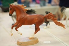 DSC00623-scaled