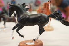 DSC00624-scaled