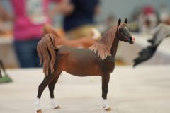 DSC00626-scaled
