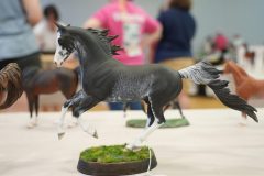 DSC00627-scaled
