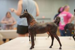 DSC00629-scaled