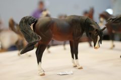 DSC00632-scaled