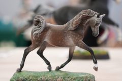 DSC00633-scaled