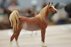 DSC00634-scaled