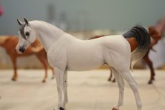 DSC00637-scaled