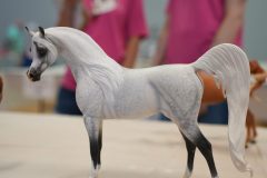 DSC00638-scaled
