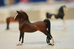 DSC00644-scaled