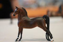 DSC00648-scaled