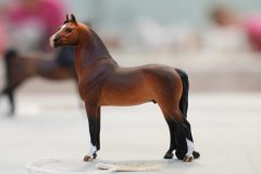 DSC00649-scaled