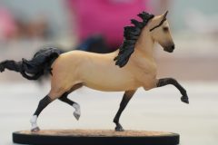 DSC00651-scaled