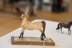 DSC00654-scaled