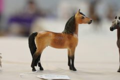 DSC00662-scaled