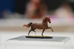 DSC00667-scaled