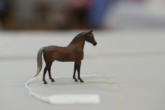 DSC00668-scaled