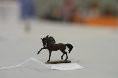 DSC00669-scaled