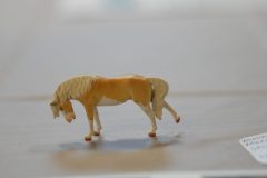 DSC00678-scaled